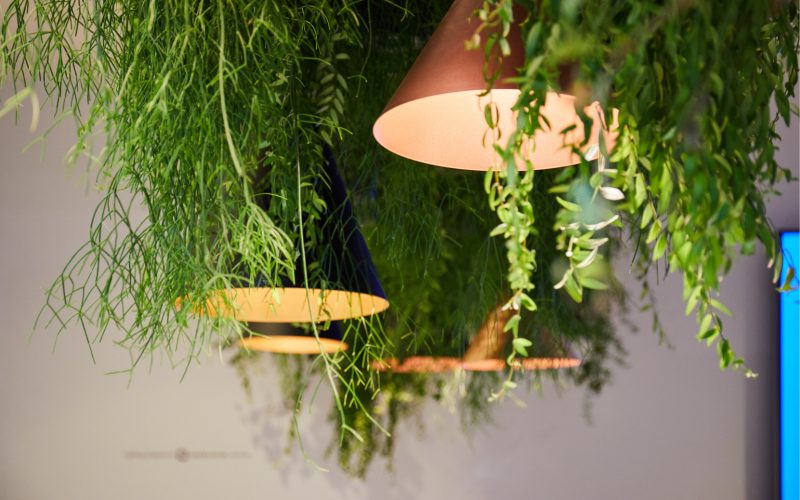 Verfijnde afwerking Creaplan3